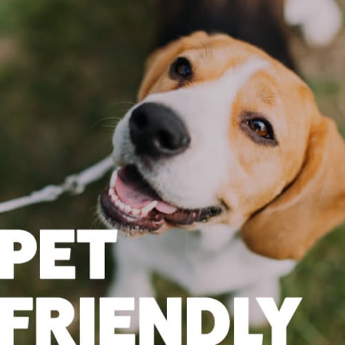 View our pet policy at Briergate Apartments in Indianapolis, Indiana