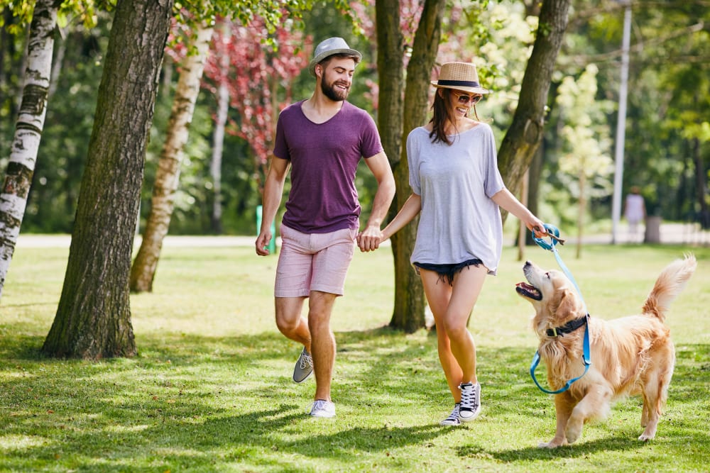 Resident couple and their dog playing on the beautifully landscaped grass outside at Canyon View in Las Vegas, Nevada