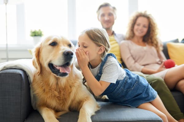 Happy dog and its owners in their new home at San Marbeya in Tempe, Arizona
