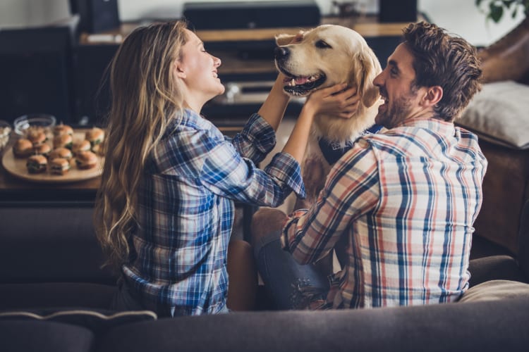 Young couple playing with their dog in their home at Latitude at Mallard Creek in Charlotte, North Carolina
