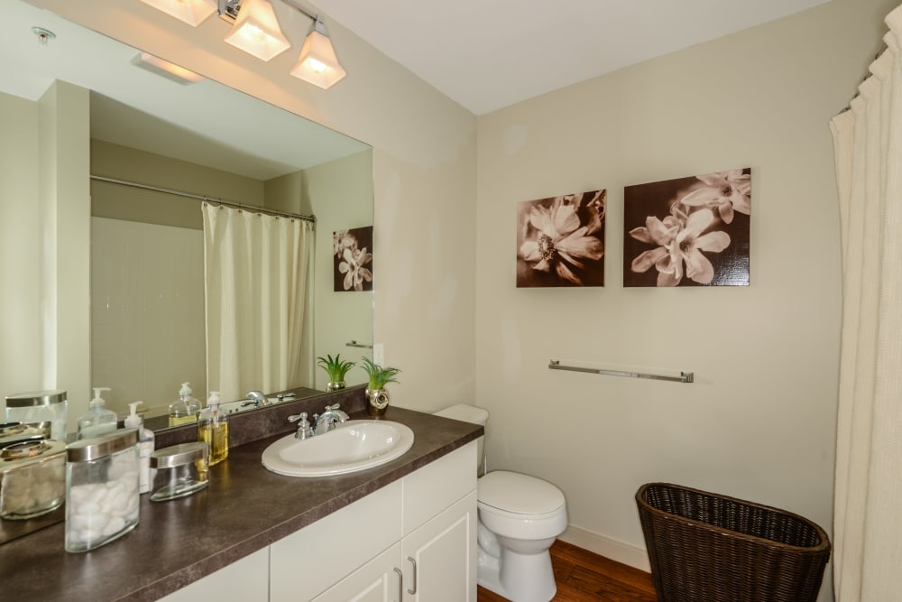 Bright bathroom at Sofi Danvers in Danvers, MA
