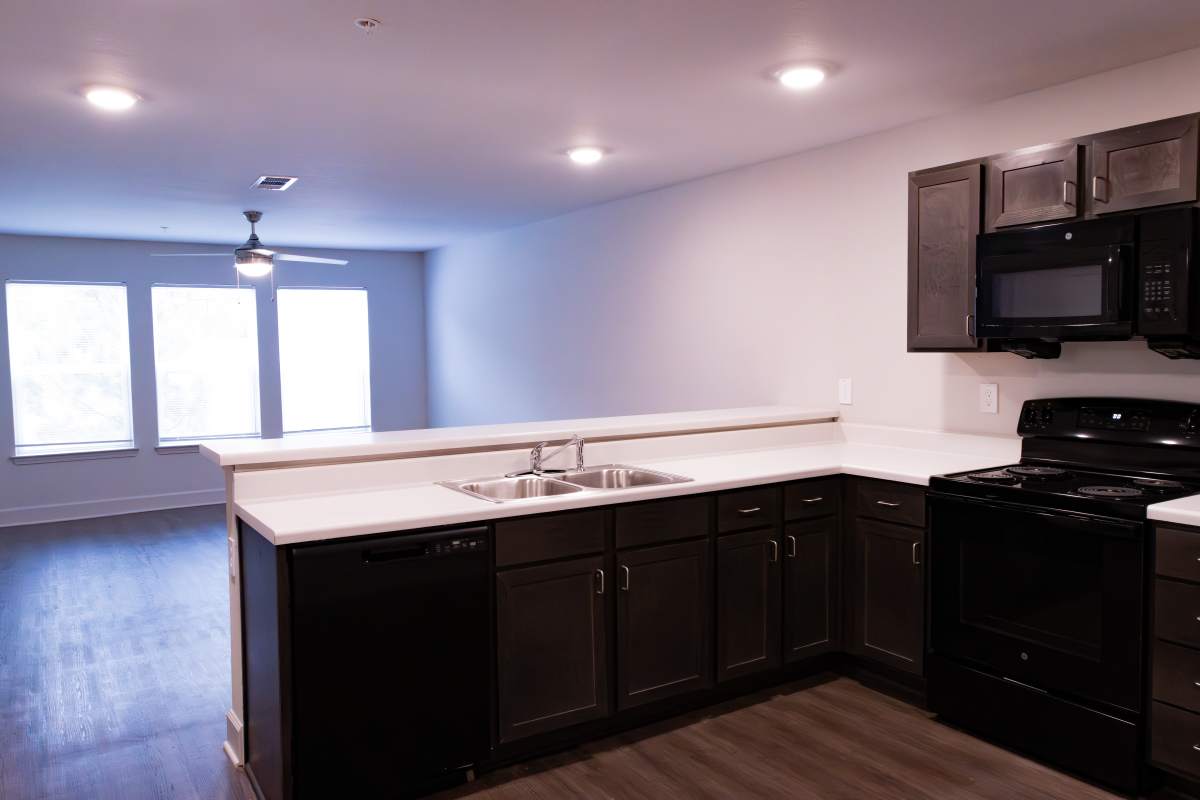 Modern kitchen with black appliances at Villas At Mount Zion in Stockbridge, Georgia