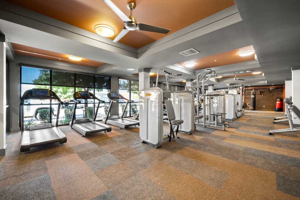 Spin bikes in the fitness center at Olympus Steelyard in Chandler, Arizona