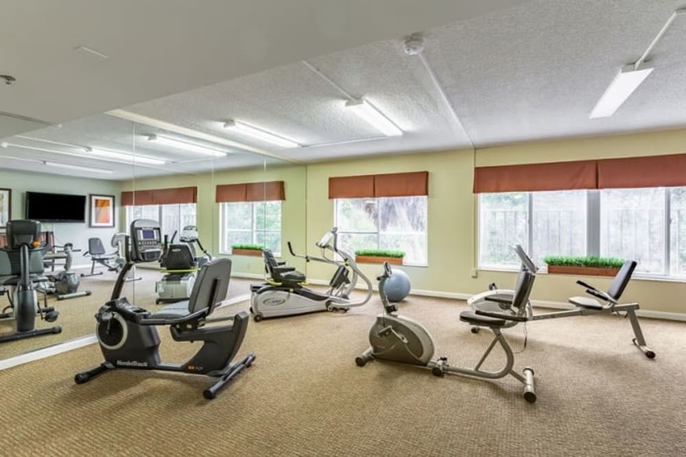 Exercise equipment at Grand Villa of Sarasota in Sarasota, Florida