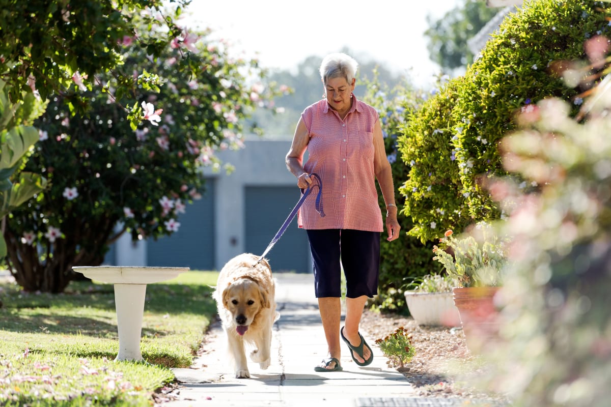 Resident walking their dog at Keystone Place at Terra Bella in Land O' Lakes, Florida