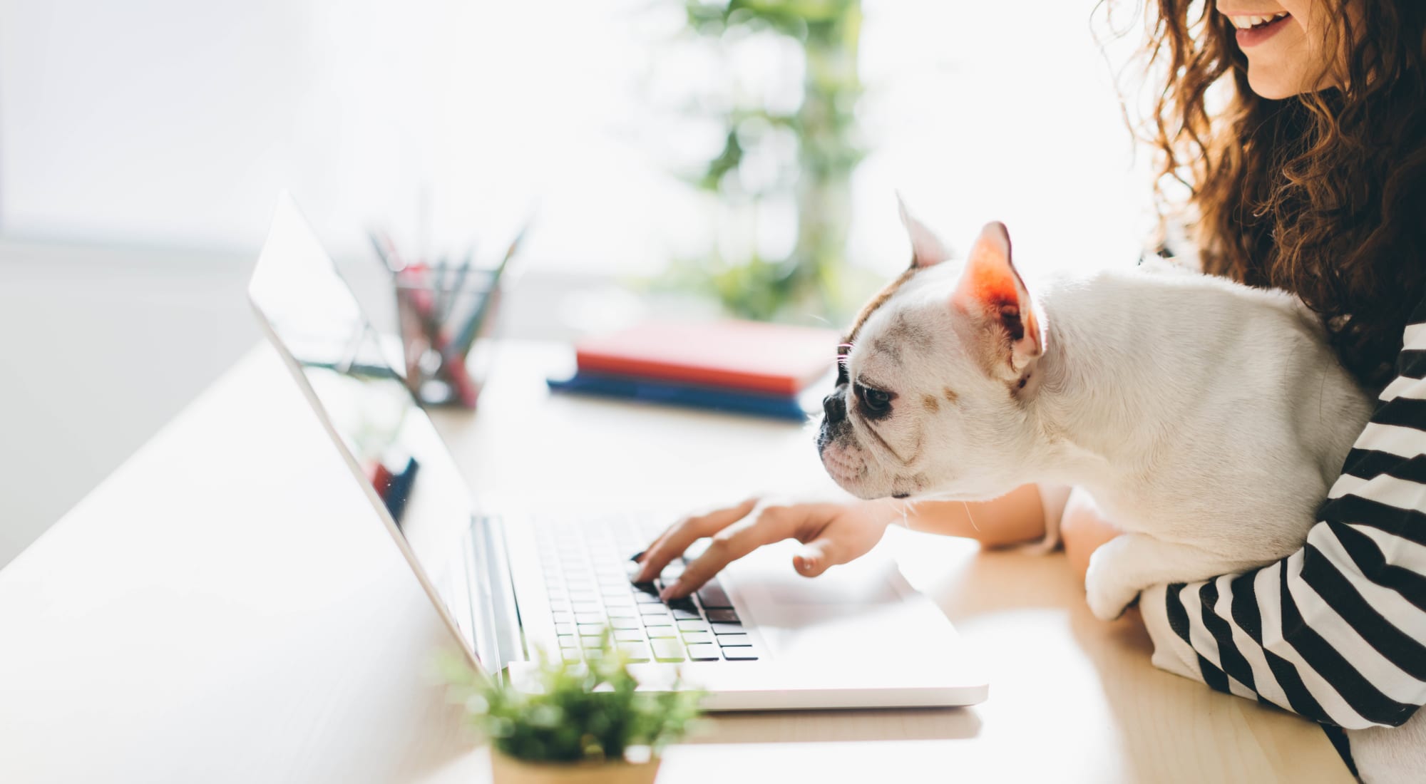 Pet-friendly apartments at The Gateway in Gaithersburg, Maryland