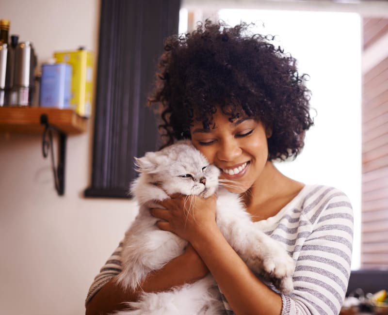 Resident cuddling her cat in a pet-friendly apartment home at Evergreen Village in Alpha, New Jersey