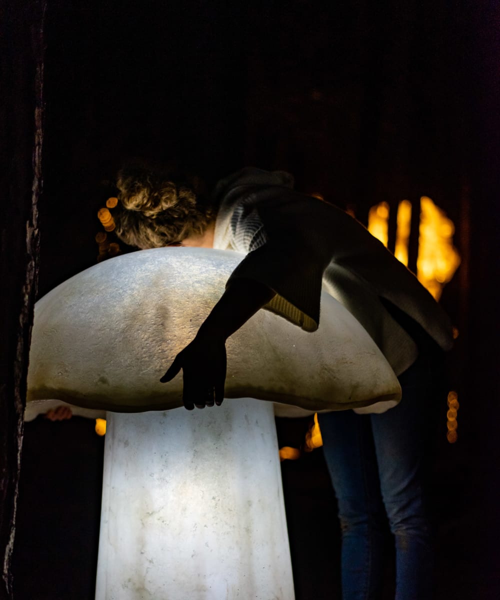 Artist Meredith Connelly embracing a giant illuminated toadstool piece titled  Clustered