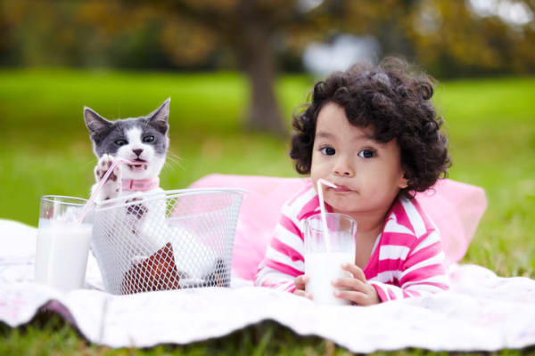Close up of a happy cat with its owner in the background at StoneCrest Village in Halifax