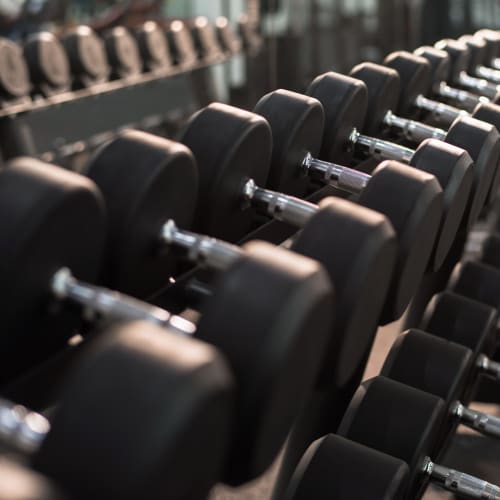 Close up of dumbbells at The Residences at Woodlake in Los Angeles, California