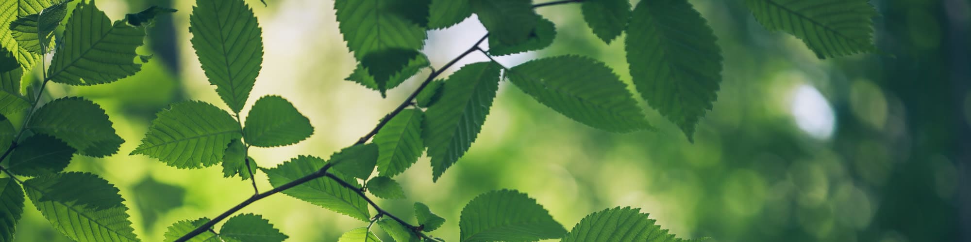 Privacy Policy | Perry Row in Dallas, Texas 