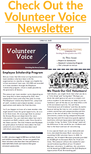 volunteer voice newsletter