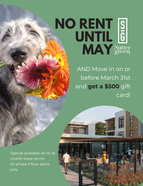 Website Specials at Sutter Green Apartments in Sacramento, California