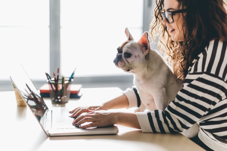 Resident and her pup surfing the web in their new home at 300 Optimist Park in Charlotte, North Carolina