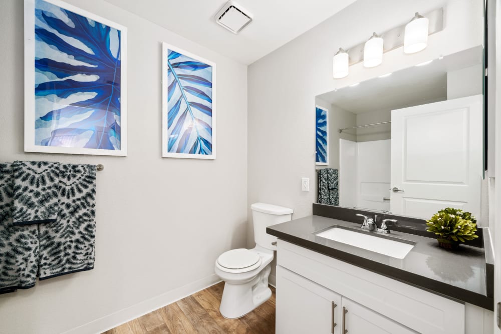Bathroom with modern finishes at Shaliko in Rocklin, California