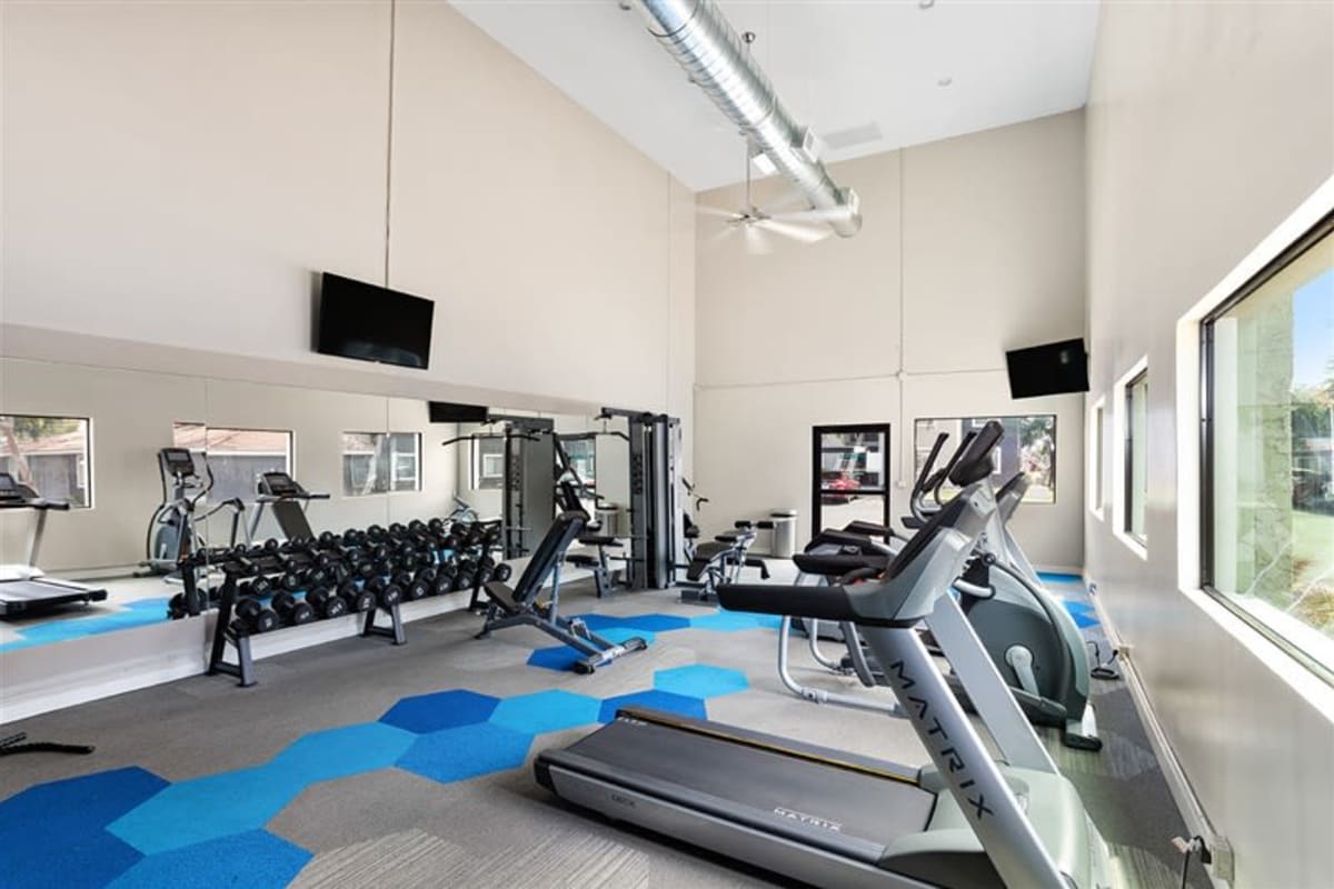 Fitness center at Argenta Apartments in Mesa, Arizona