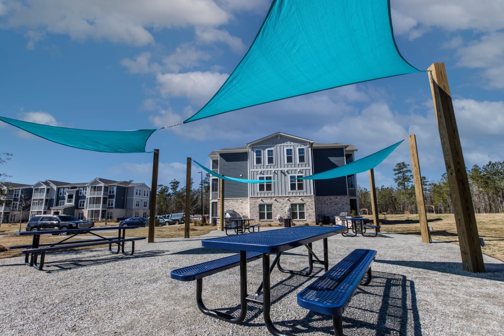 Picnic area at South City Apartments in Summerville, South Carolina