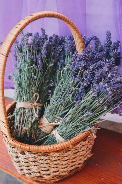 Lavender basket at {{location_name}}