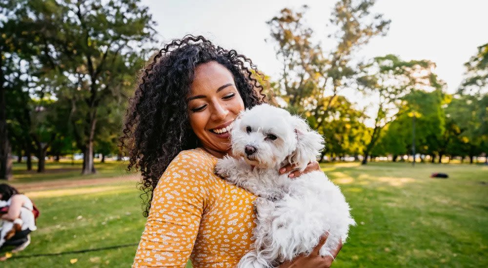 Dog  with owner at Town Center Apartments in Lafayette, California