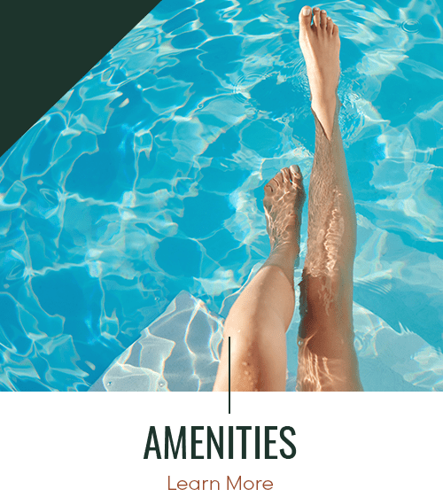 Link to amenities page of Huntsville Parc Apartment Homes in Huntsville, Alabama