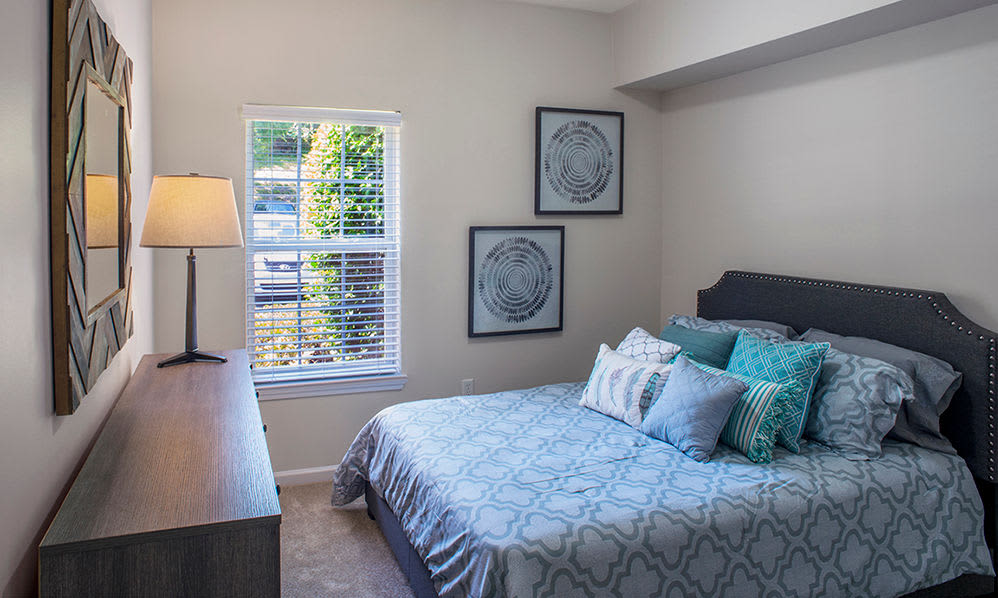 Charlotte Apartments Townhomes For Rent Atkins Circle