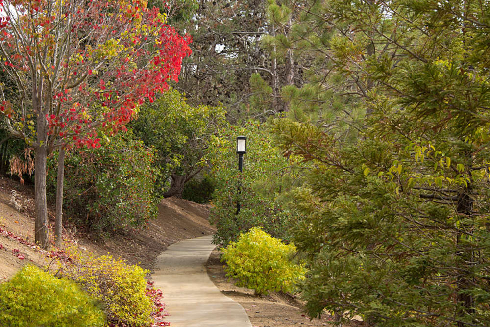 A local walkway for resident enjoyment at Sterling Heights Apartment Homes in Benicia, California