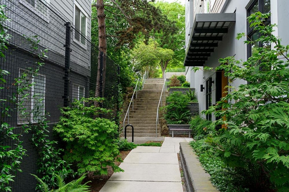 Stairway and walking path with lush landscaping at Mt. Baker Village Apartments in Seattle, Washington