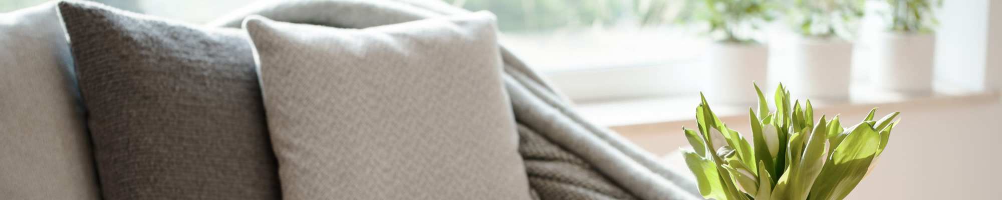 Privacy Policy for Cayce Cove Student Apartments in Cayce, South Carolina