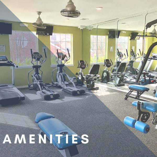 View amenities at The Abbey at Montgomery Park in Conroe, Texas