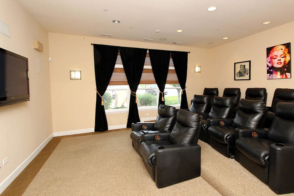 Theater room at Riverstone Apartments in Bolingbrook, Illinois