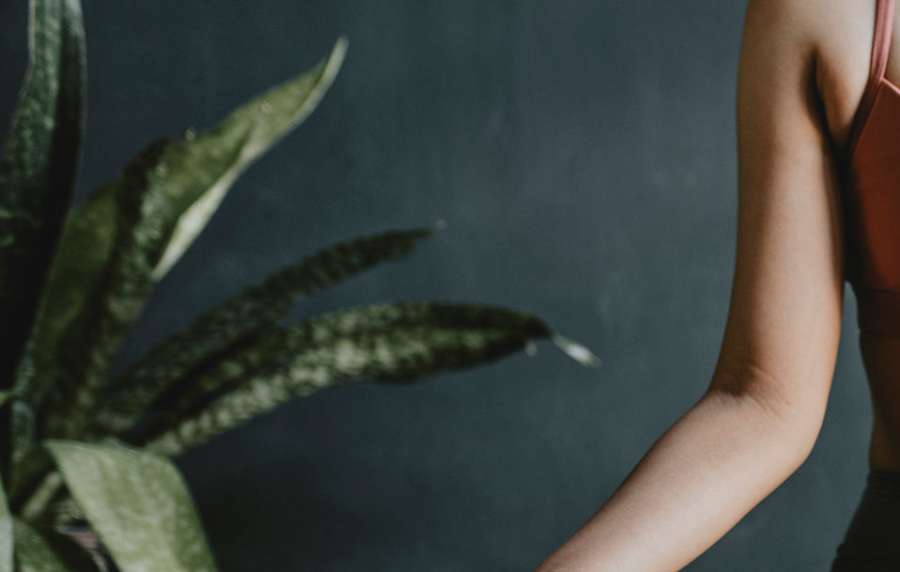 Detail of a houseplant against a slate grey wall at River Run Village in San Diego, California