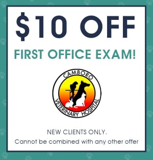 Camboro Veterinary Hospital