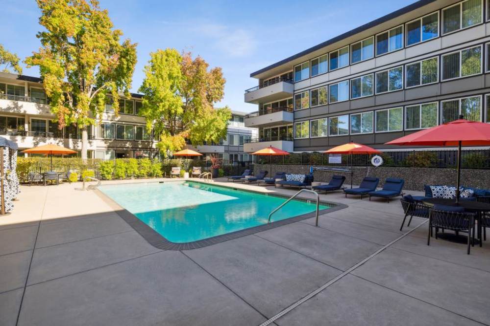 Swimming pool with lounge seating at Belmont Glen Residences in Belmont, California