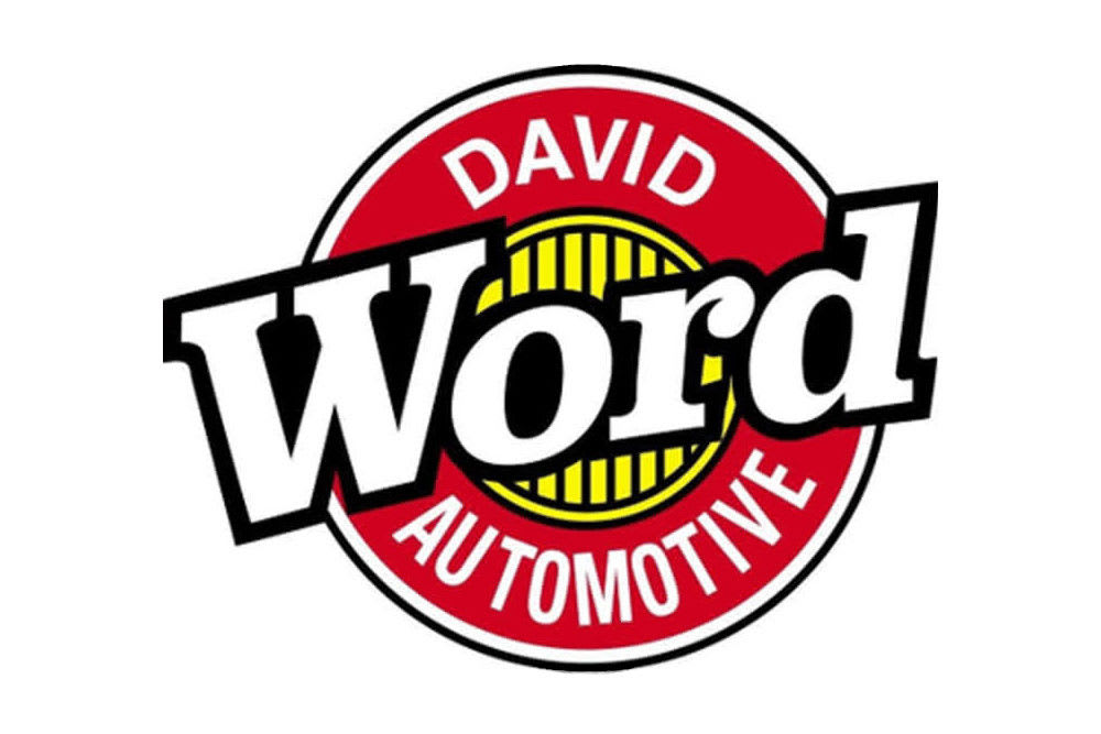 David word automotive logo