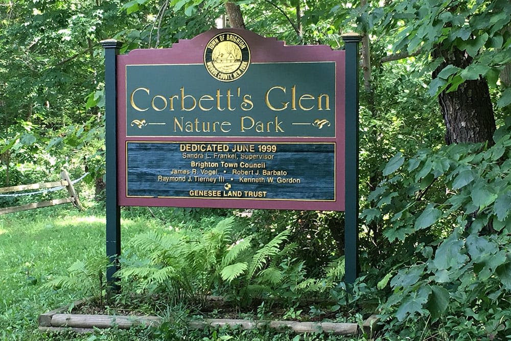 Nature park near Oak Hill Terrace in Rochester, New York