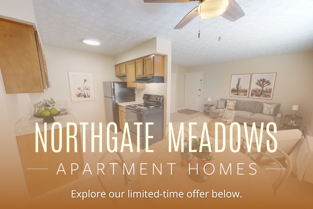 Northgate Meadows Promotional Leasing Special