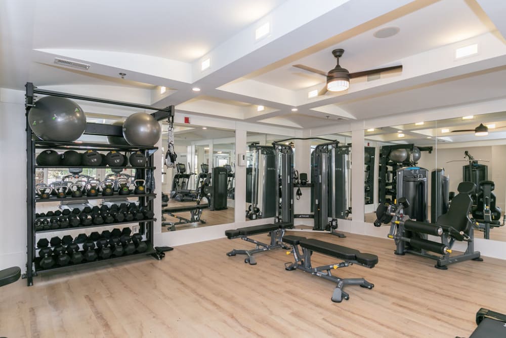 Highland Square Apartments in Atlanta, GA near Emory Village