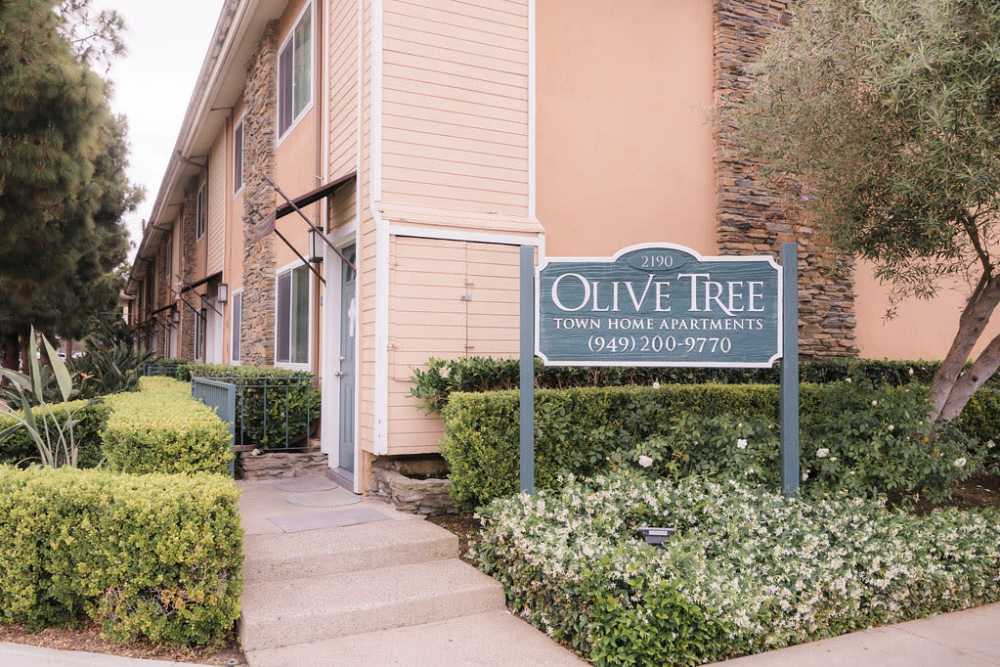 Property sign in front of Olive Tree in Costa Mesa, California