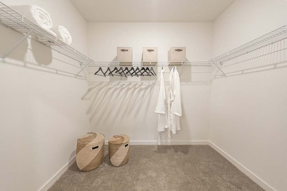 Large walk-in closet at Avion Apartments in Jacksonville, Florida