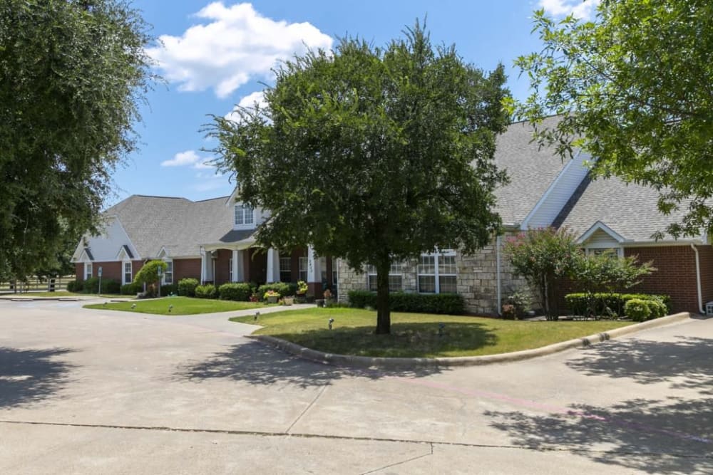 Courtyard with large tree at Meadow Creek Senior Living in Lancaster, Texas