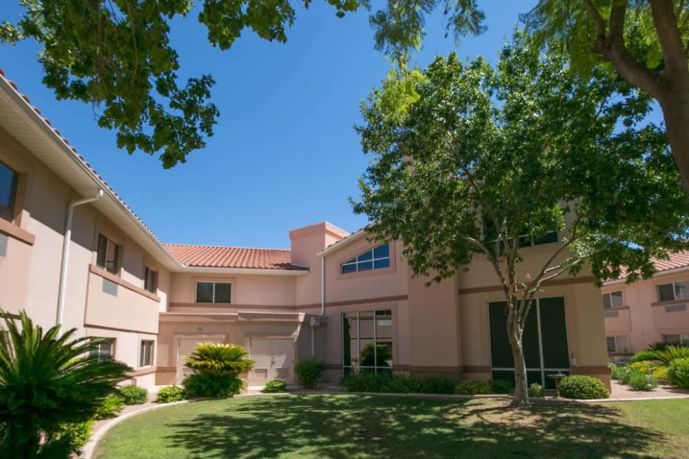 Courtyard with foliage at The Citadel Senior Living in Mesa, Arizona