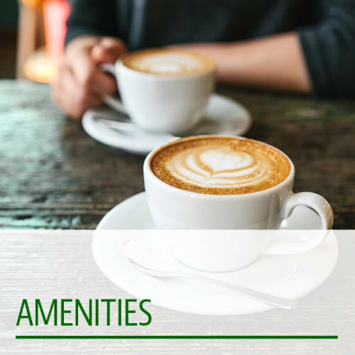 View amenities of Fairway Apartments in Reston, Virginia