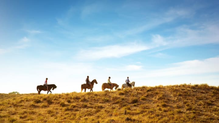 A group of four people riding horses on a grassy hill | horseback riding in South Jordan
