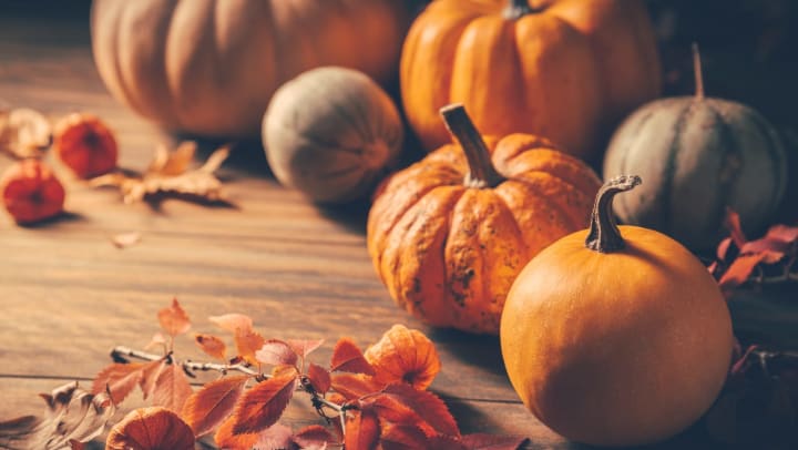 Collection of pumpkins on a wooden table