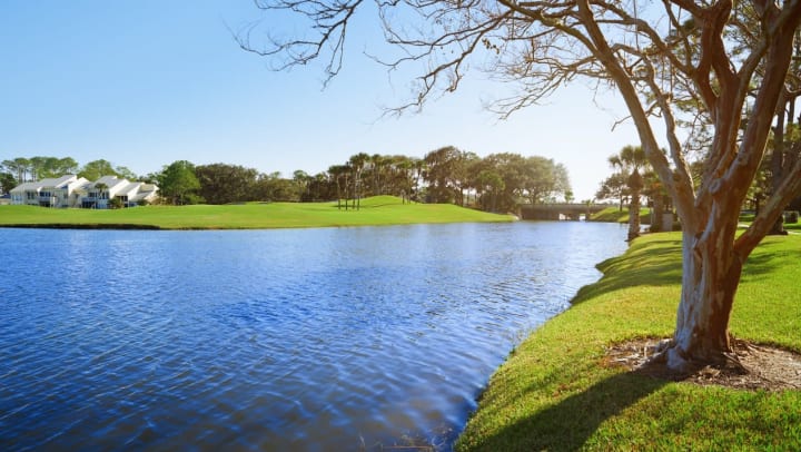 a sunny lake and park in Jacksonville, Florida