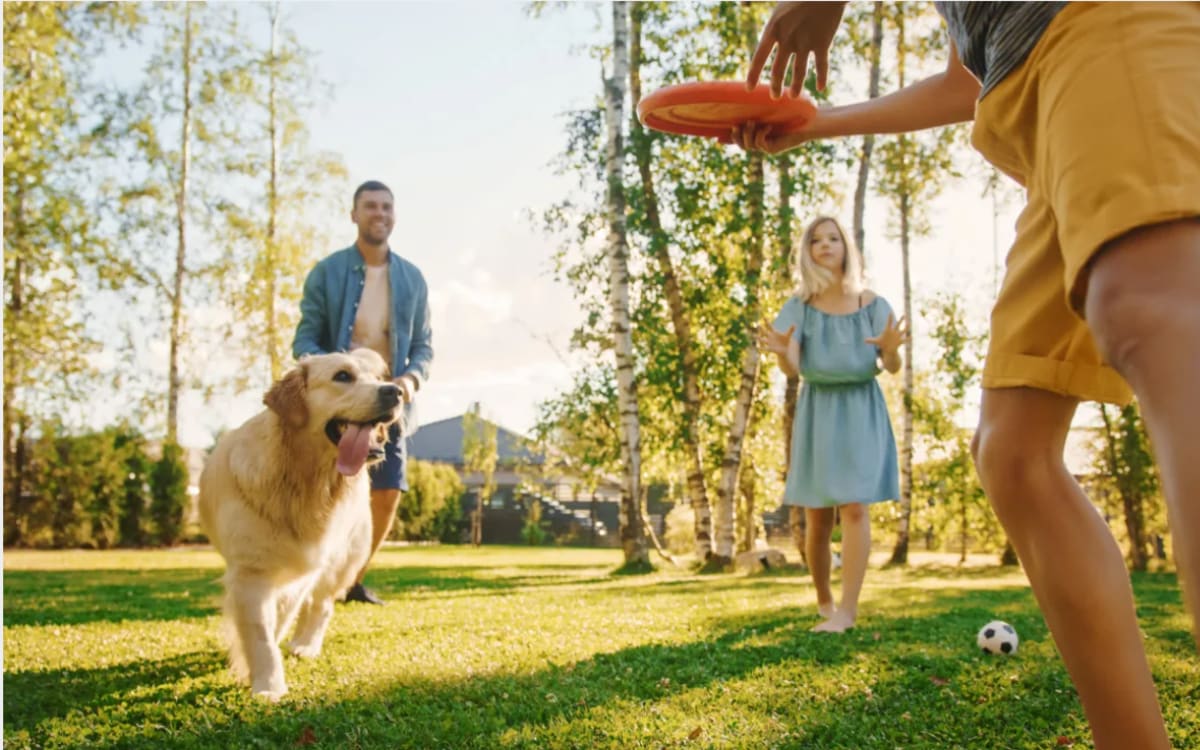 Resident family playing in a park along with their dog near The Falgrove Apartments in Omaha, Nebraska