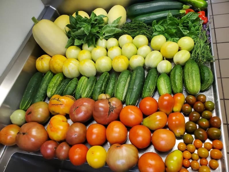Fresh vegetables from the garden at English Meadows Blacksburg Campus in Blacksburg, Virginia
