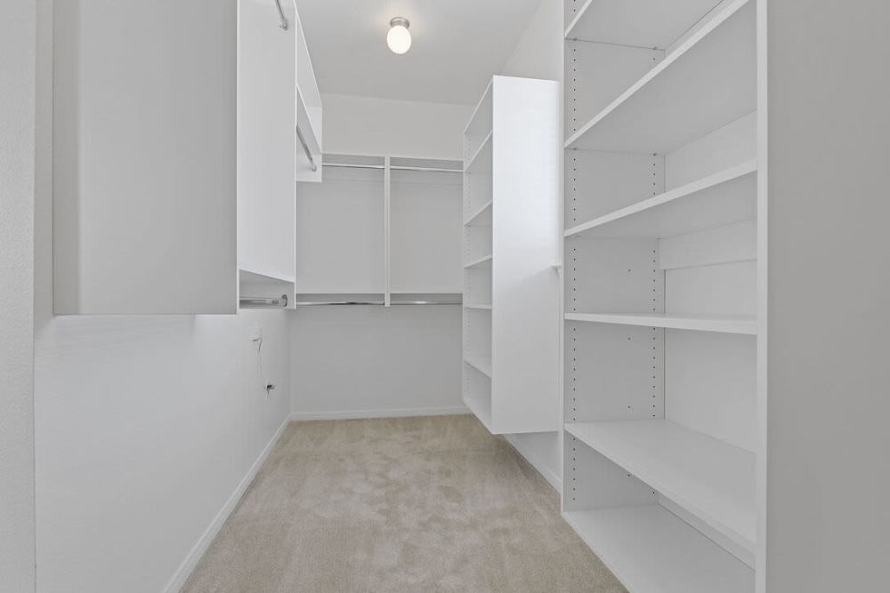 Walking closet at Ashwood in Pflugerville, Texas