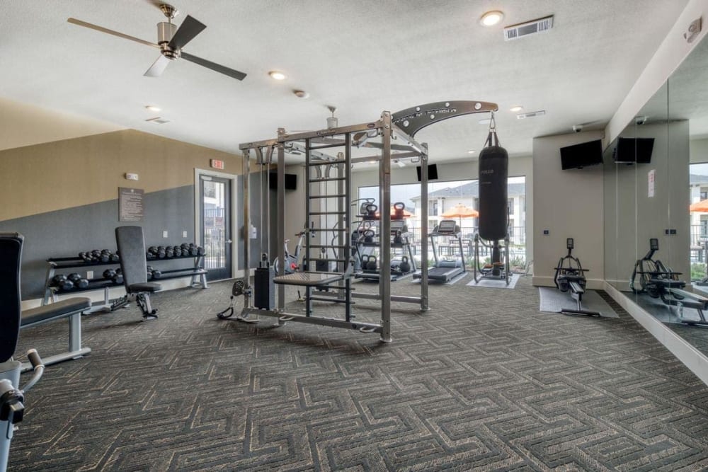 Well-equipped fitness center with terrific view of the community at Palmetto Pointe in San Antonio, Texas