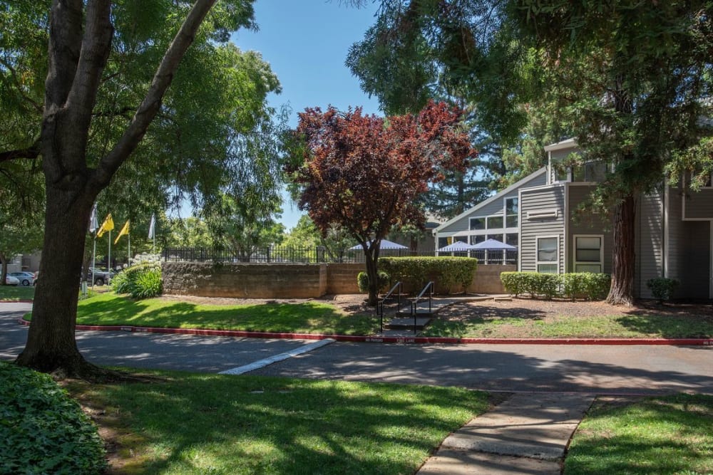 Grassy areas at Zinfandel Ranch Apartments in Rancho Cordova, California